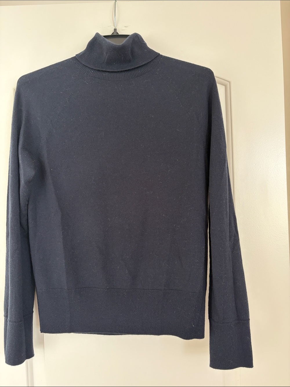 Banana Republic Navy Turtleneck Knit Sweater